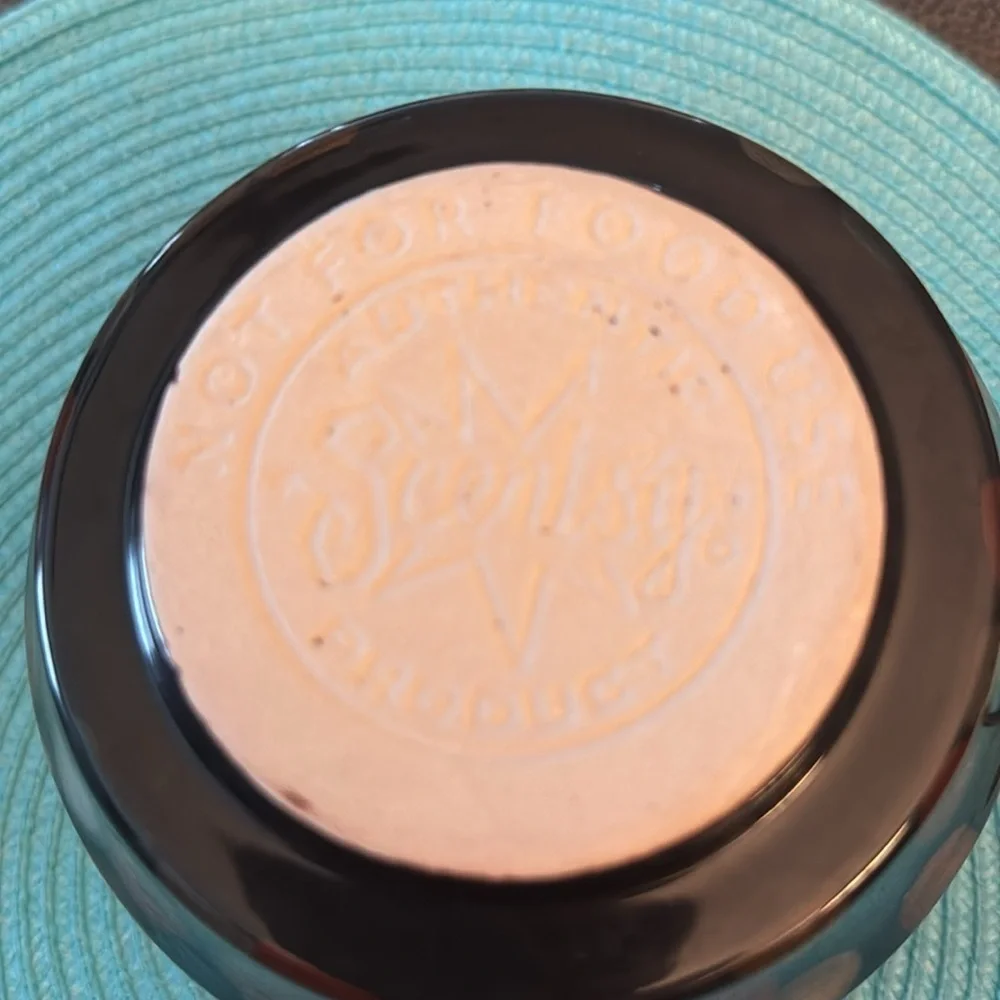 Scentsy “Palette” Wax Warmer